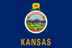 Kansas Flag