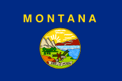 Montana Flag